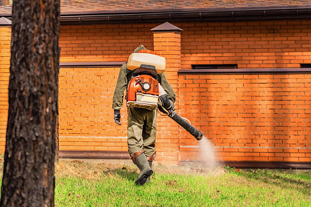 Trusted Cockroach Control service in West Newton, PA - Nex Pest Control